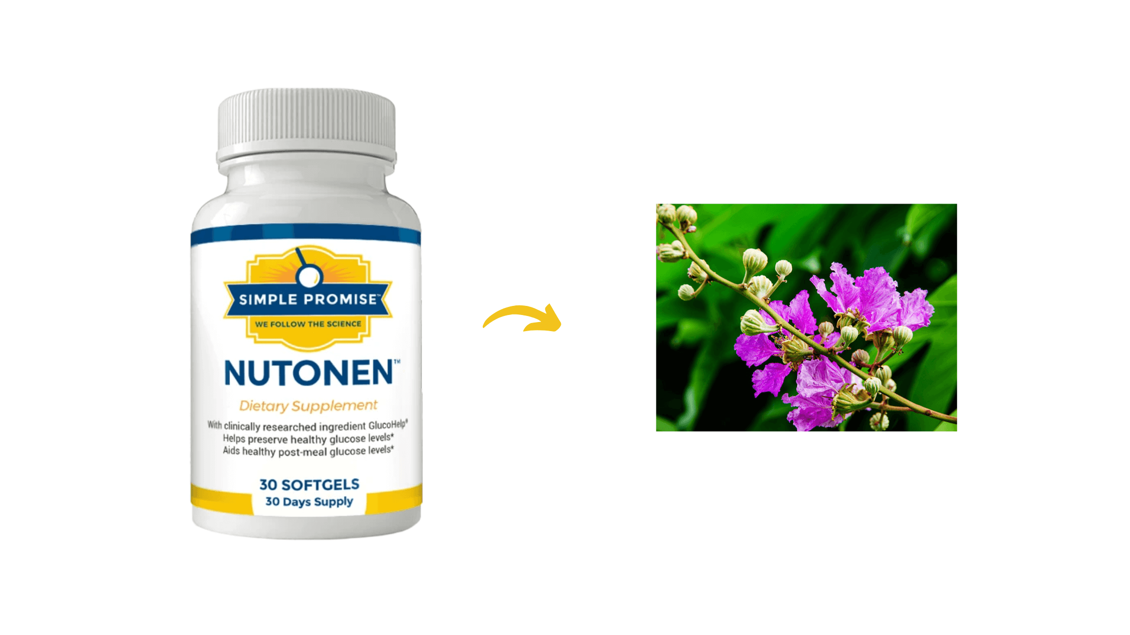 Nutonen Ingredients
