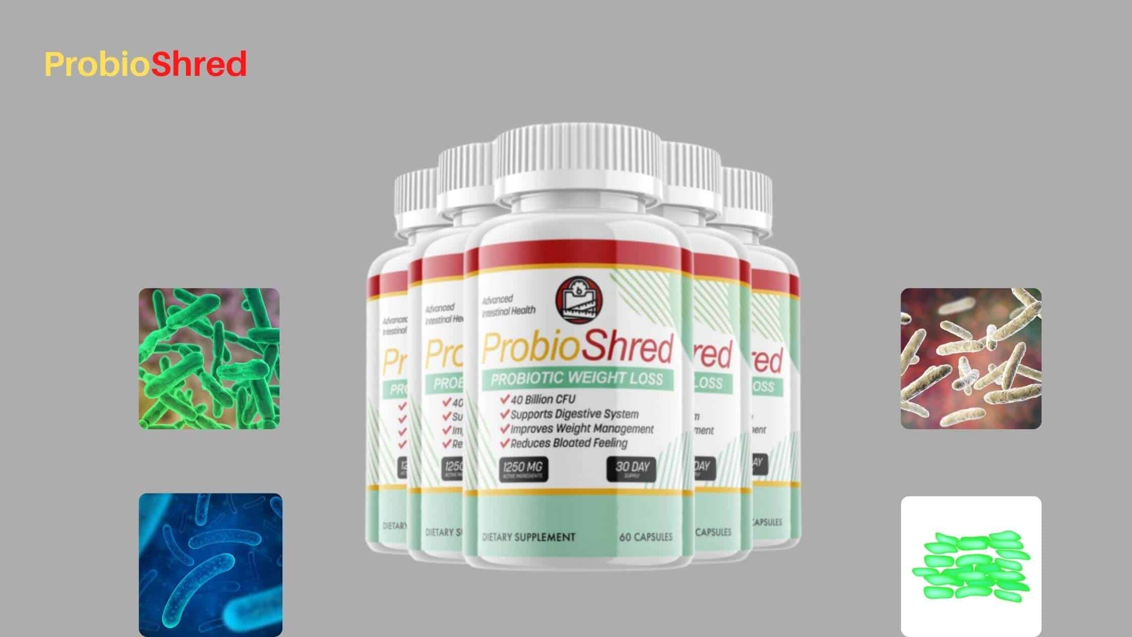 ProbioShred Ingredients