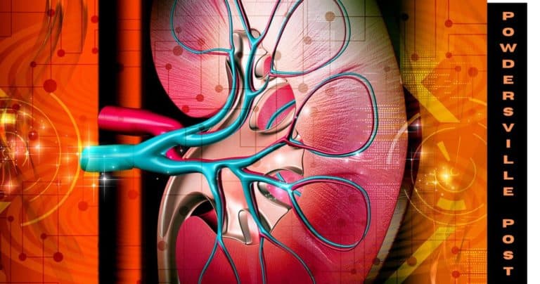 Allopurinol- The Safe Option For Gout And Chronic Kidney Disease