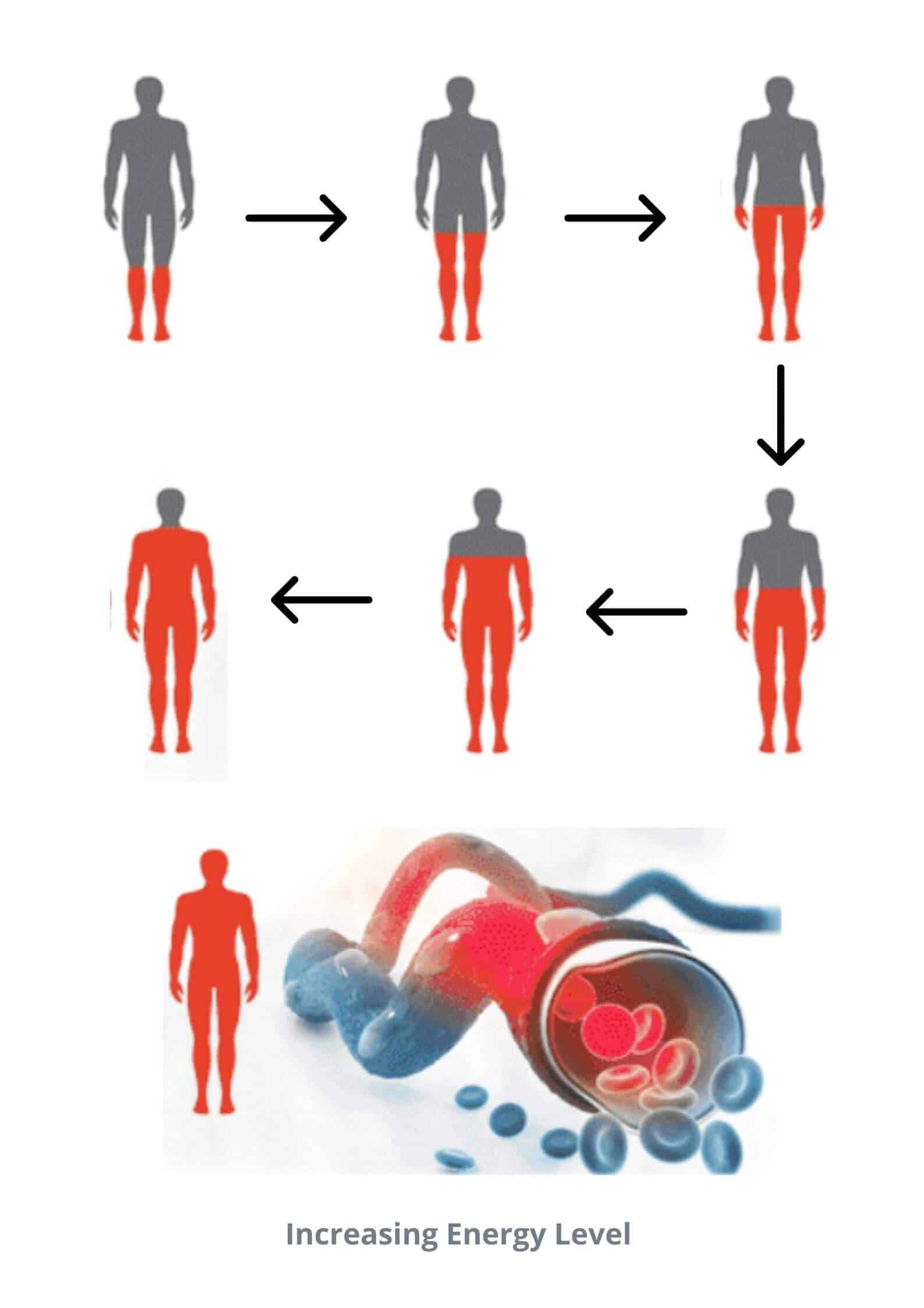 Erex Male Enhancement Result