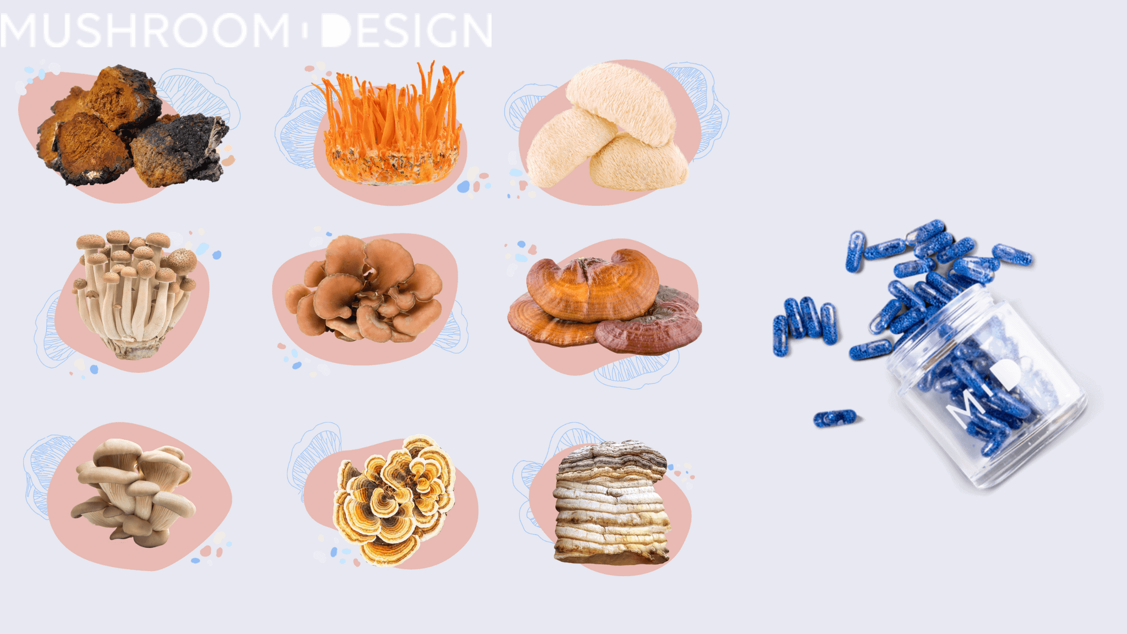Mushroom Design ingredients