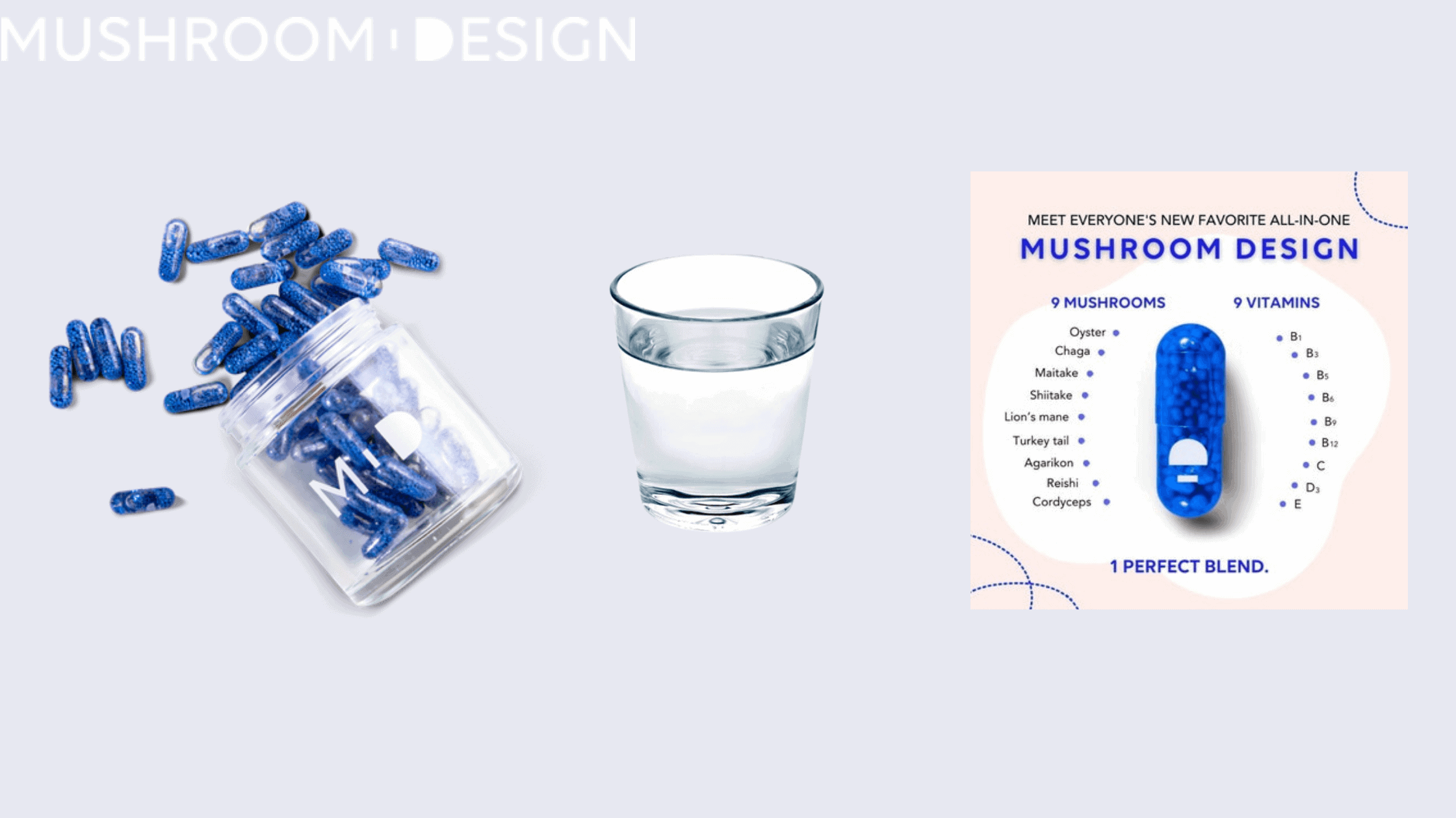 Mushroom Design supplement dosage
