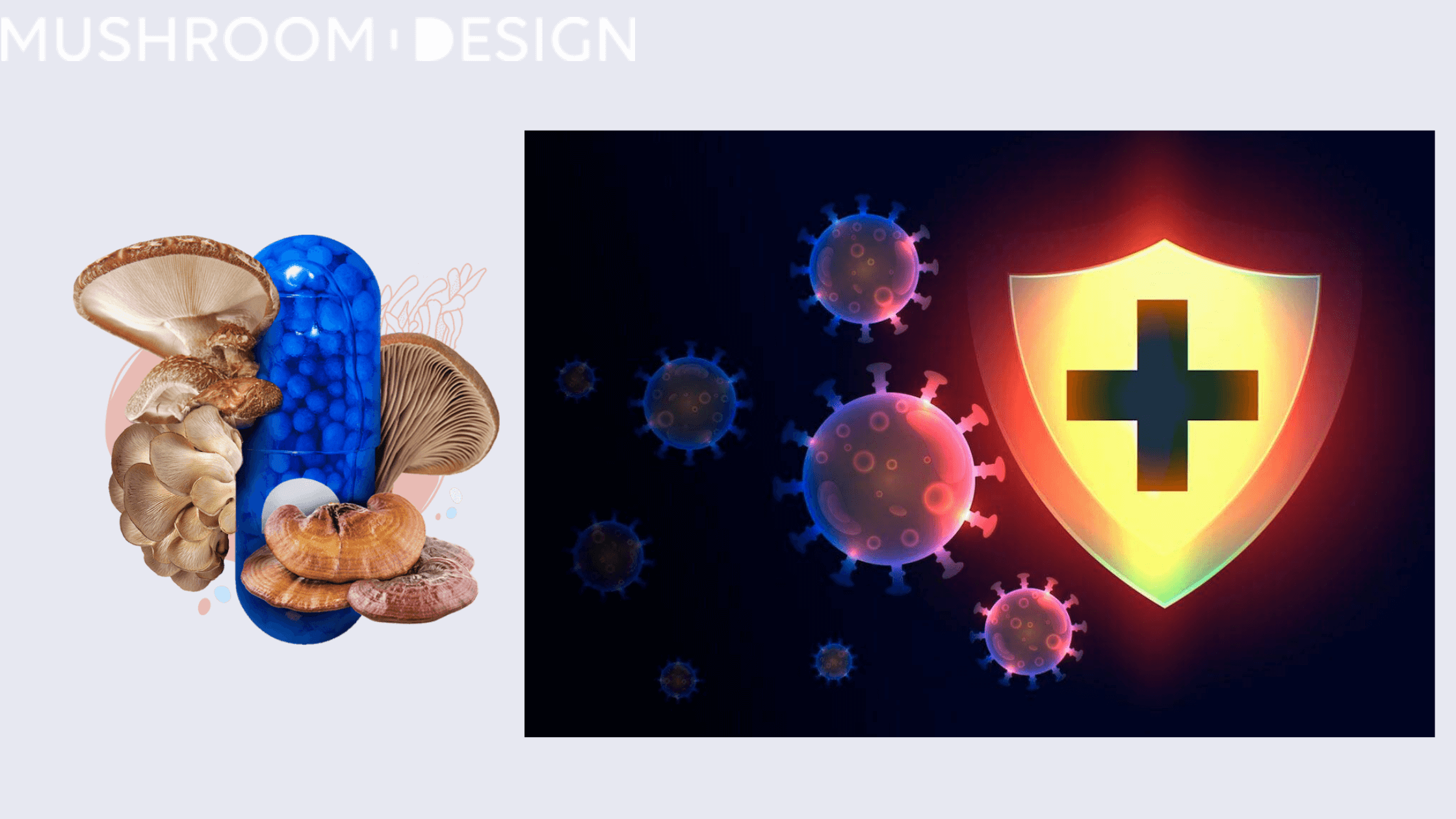 Mushroom Design working