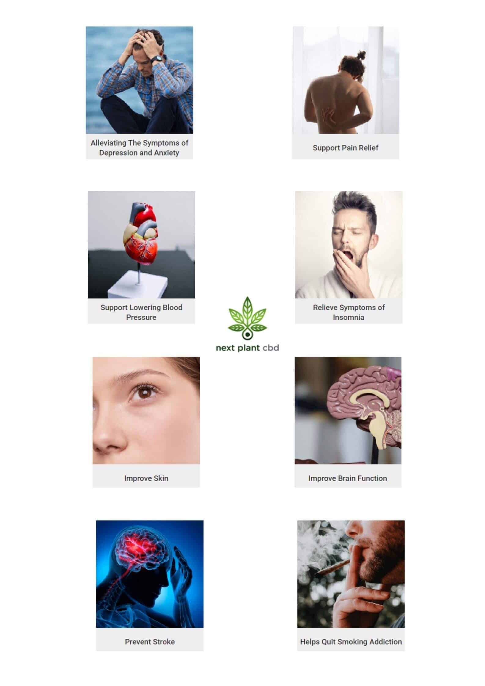 Next Plant CBD Gummies Benefits