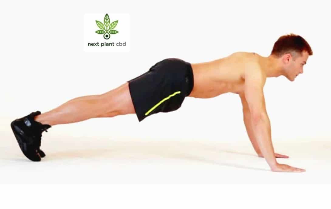 Next Plant CBD Gummies Exercise