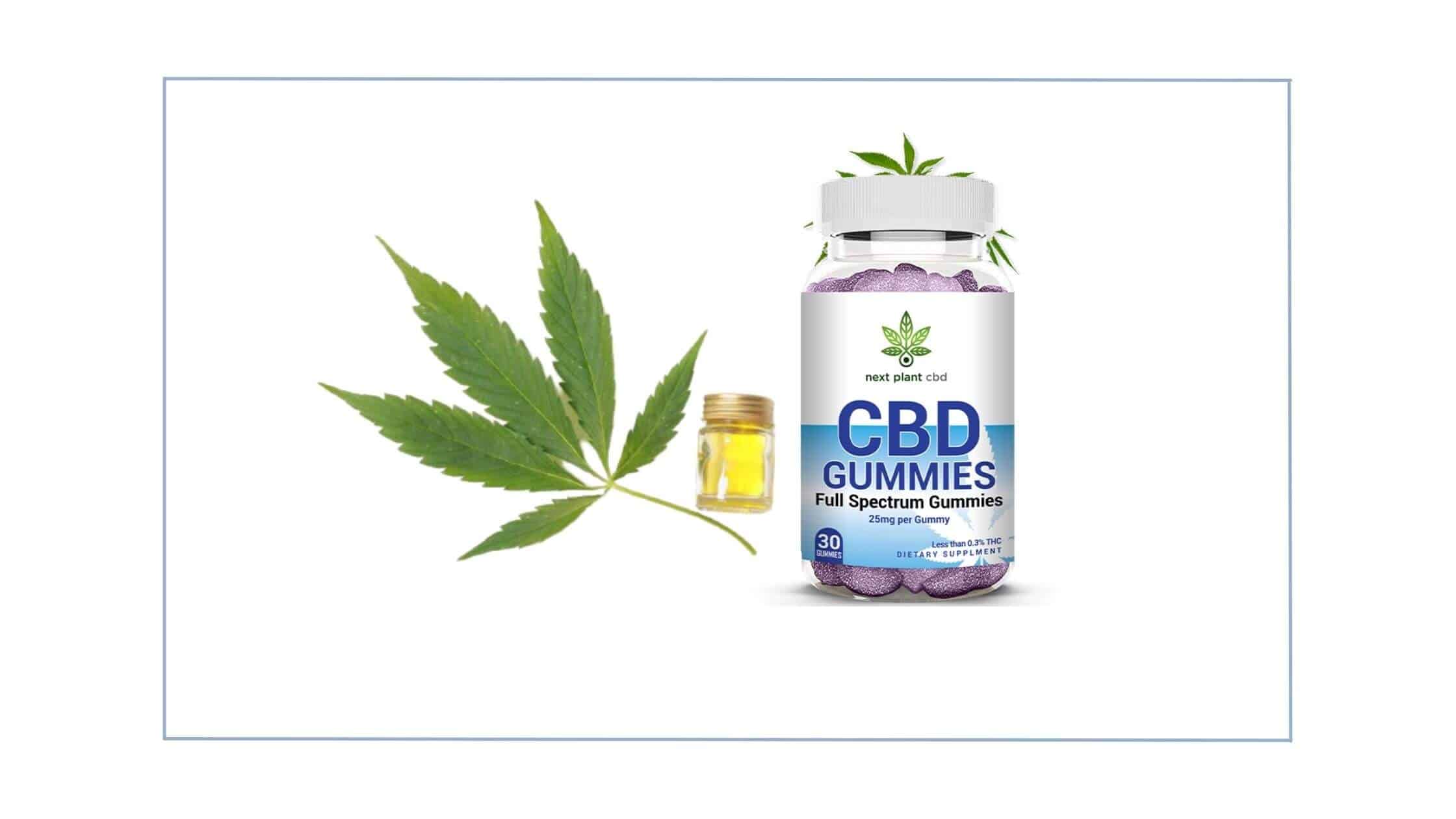 Next Plant CBD Gummies Ingredient