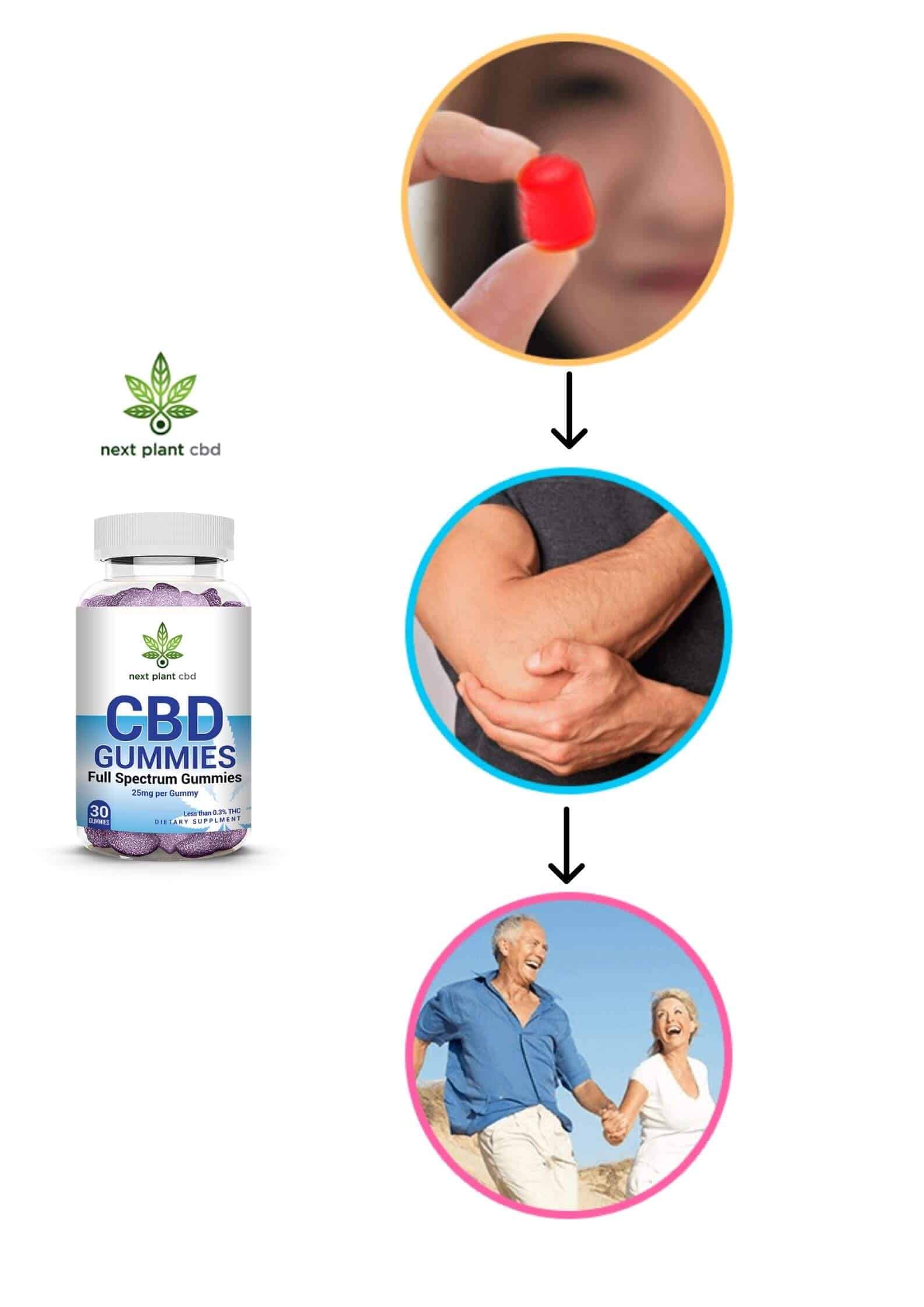 Next Plant CBD Gummies Result