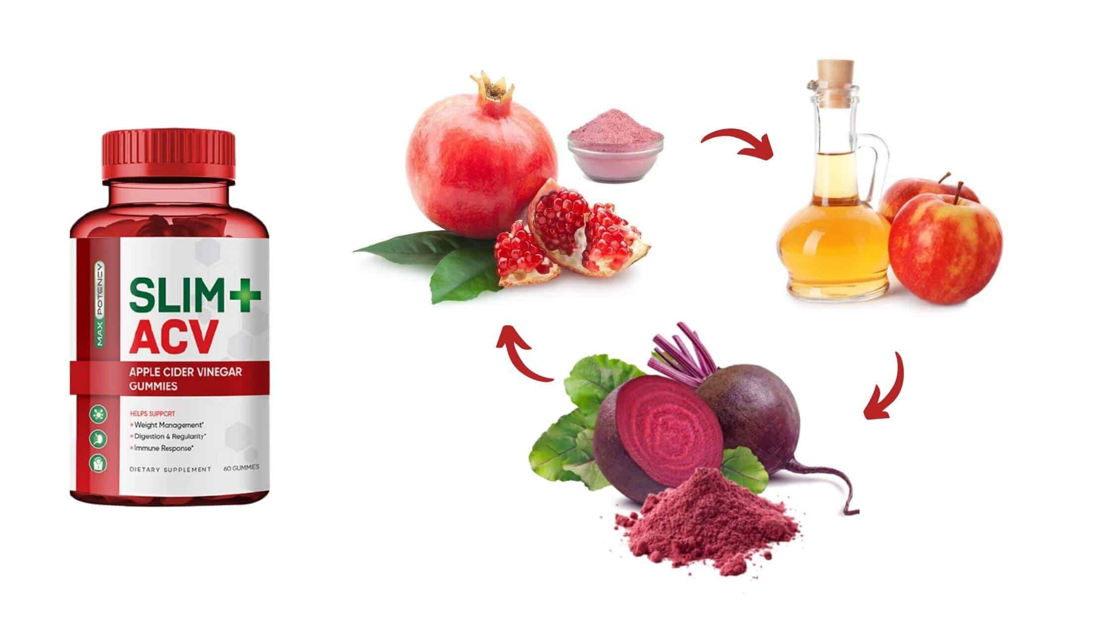 SLIM+ ACV Gummies Ingredients