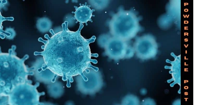 Will Australia Face A Deadly 2022 With The Rise In Covid