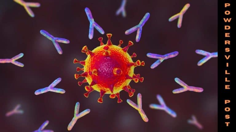 A New Antibody-Drug Monoclonal To Fight Omicron Variant