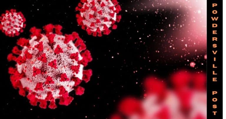 Americans May Not Need Omicron-Based Booster Shot