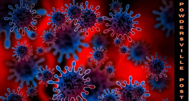 Does WHO Predicts End Of Pandemic? Latest News!