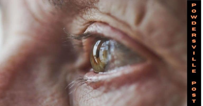 Experiencing Difficulties In Vision With Age? Report To The Doctor!