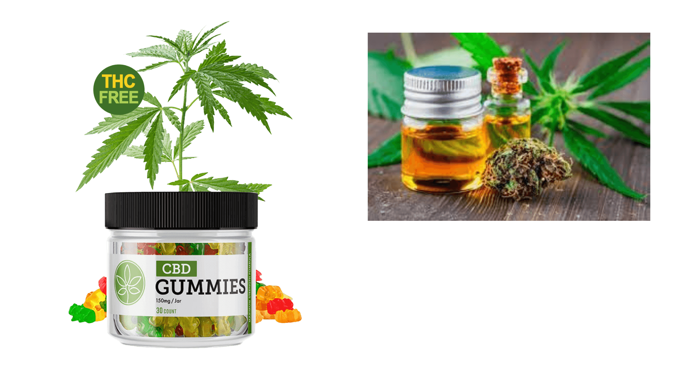 Hazel Hills CBD Gummies Ingredients