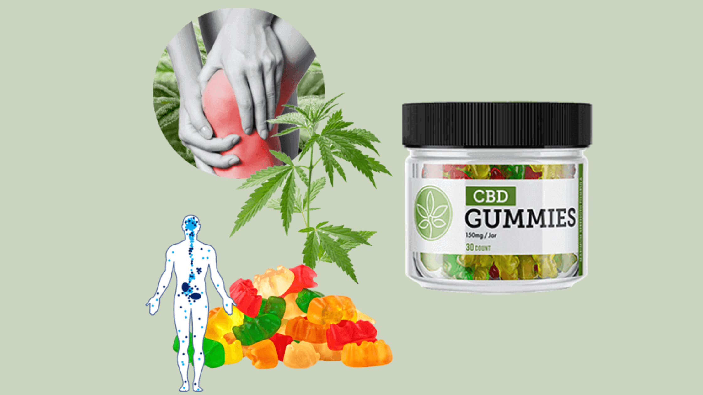 Hazel Hills CBD Gummies Working