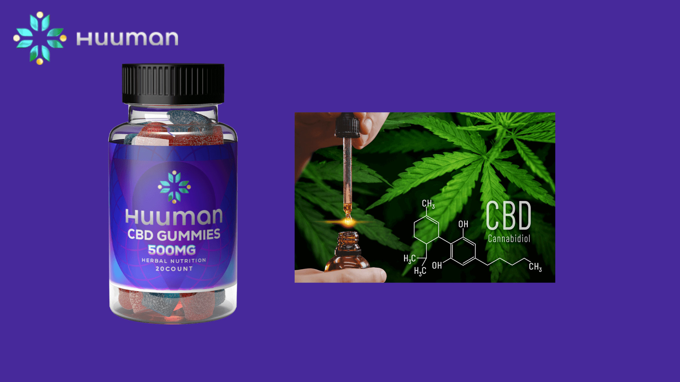 Huuman CBD Gummies  ingredients