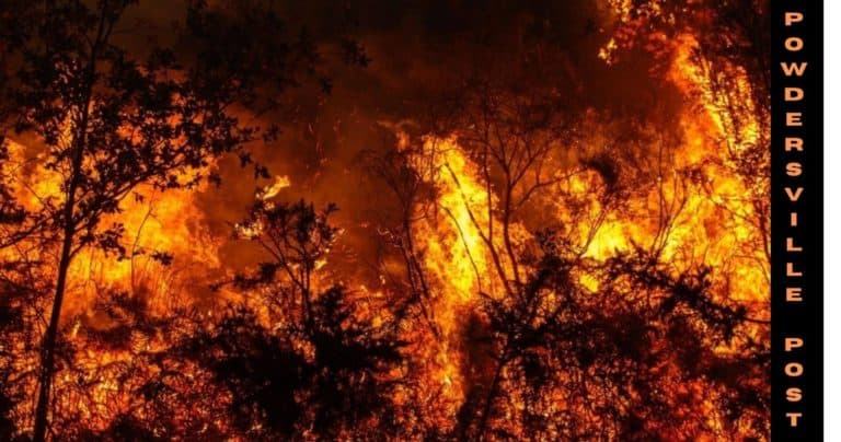 Previous Wildfire And Its Aftermath – Latest News!