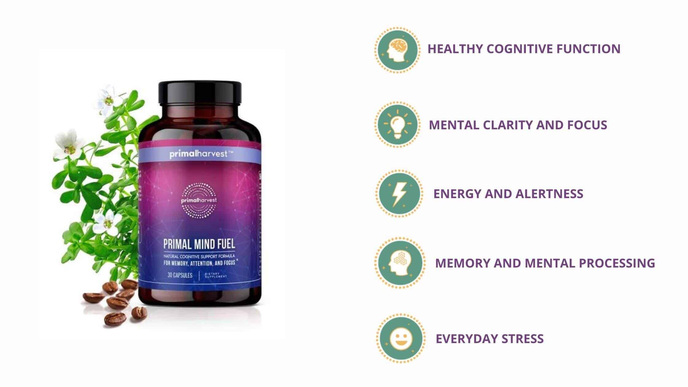 Primal Mind Fuel Benefits