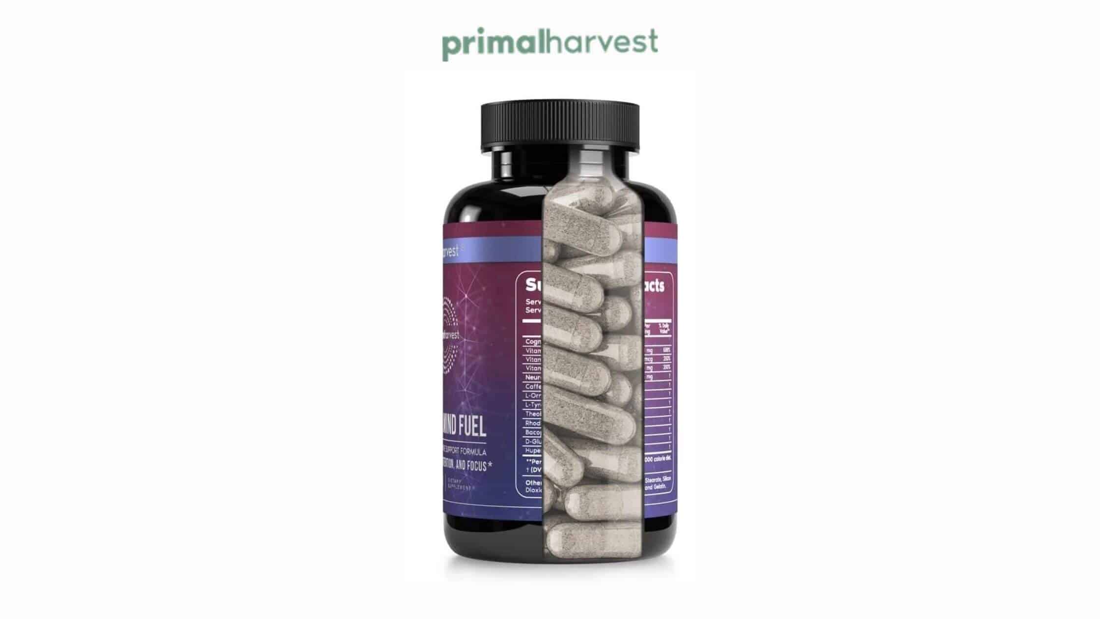 Primal Mind Fuel Review