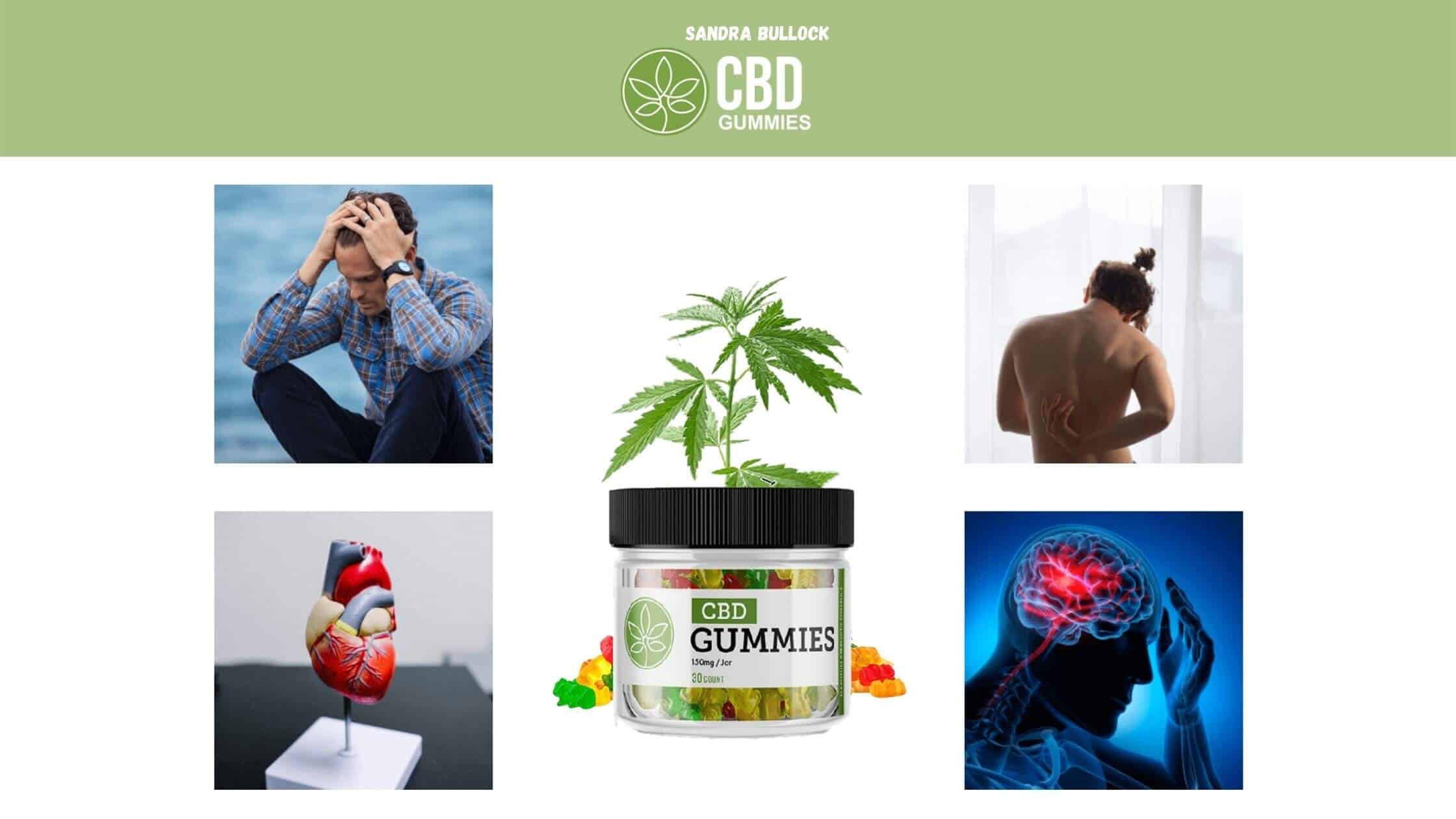 Sandra Bullock CBD Gummies Benefits