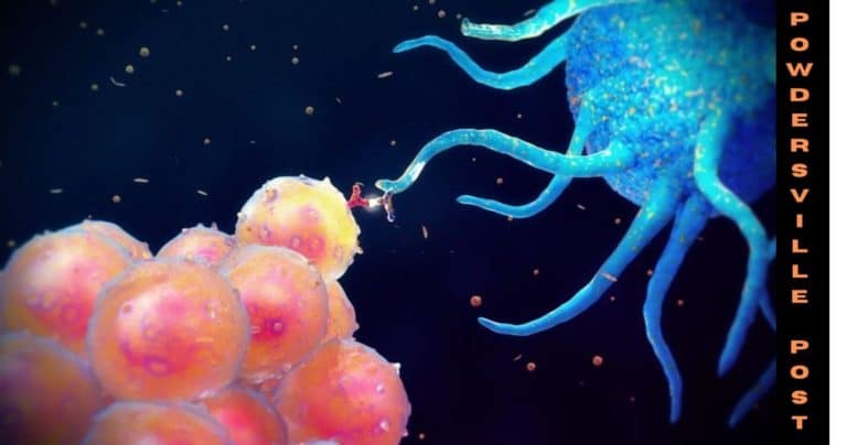 Statistical Survey On The Rising Cancer Rates: Latest News!