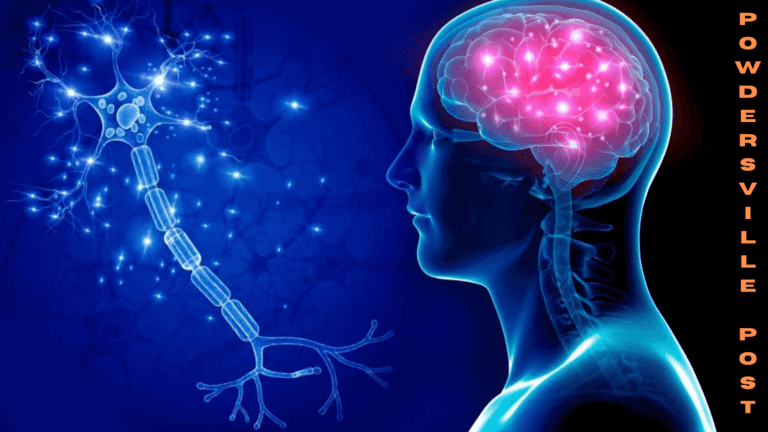 Study Examines Genetic Link Between Brain And Schizophrenia Risk!