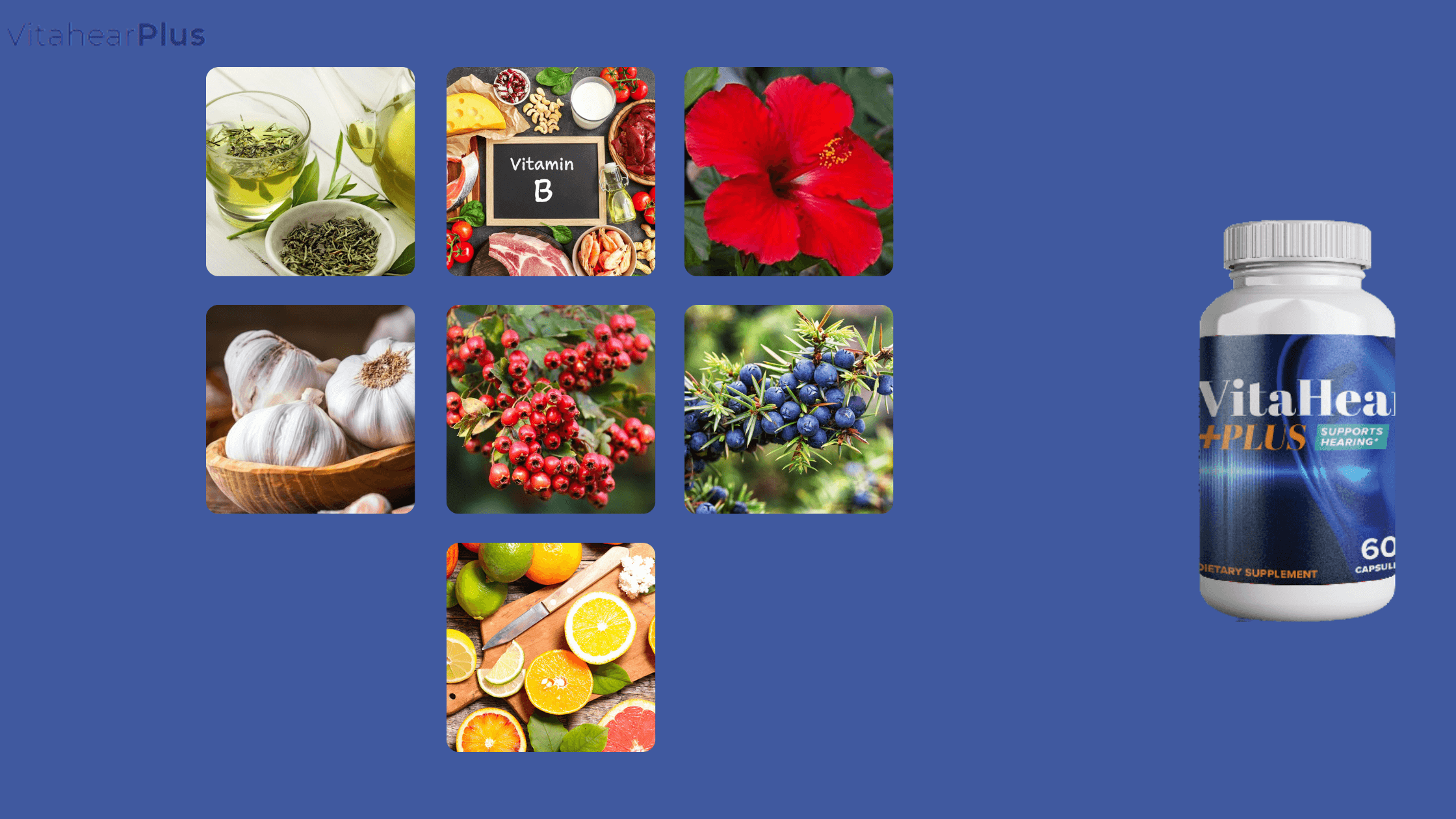 VitaHear Plus Ingredients