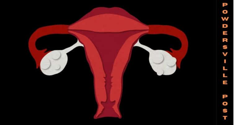 Why Cervical Cancer Affects Black Women More? Latest News!