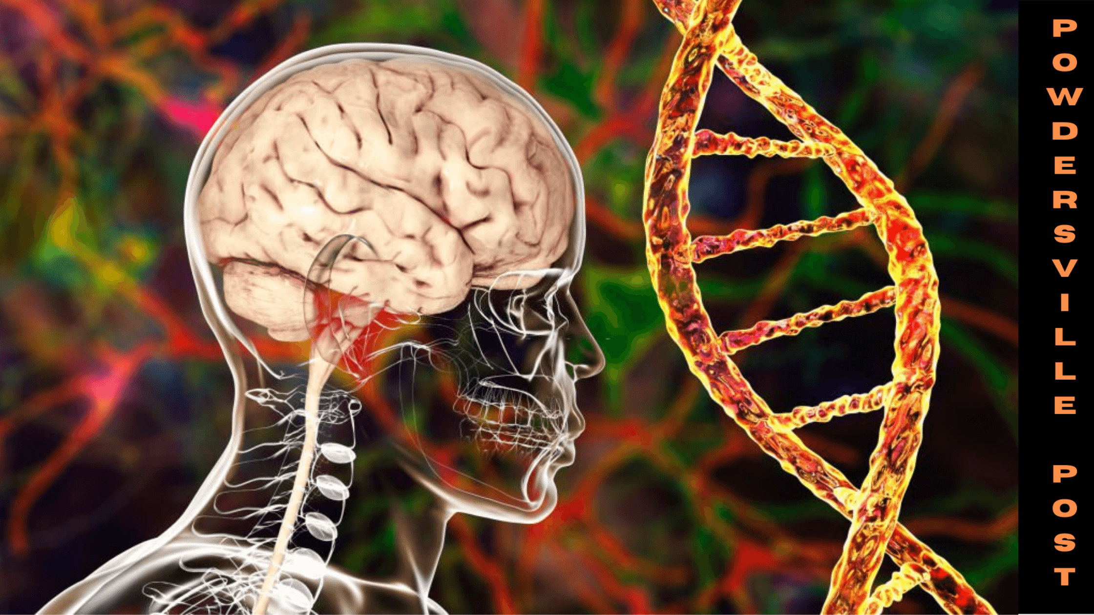 A New Molecular Pathway That Shares FTD Disorders And ALS