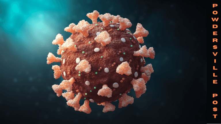CDC Evaluates US Covid Infections Are Now Closer To 140 Million