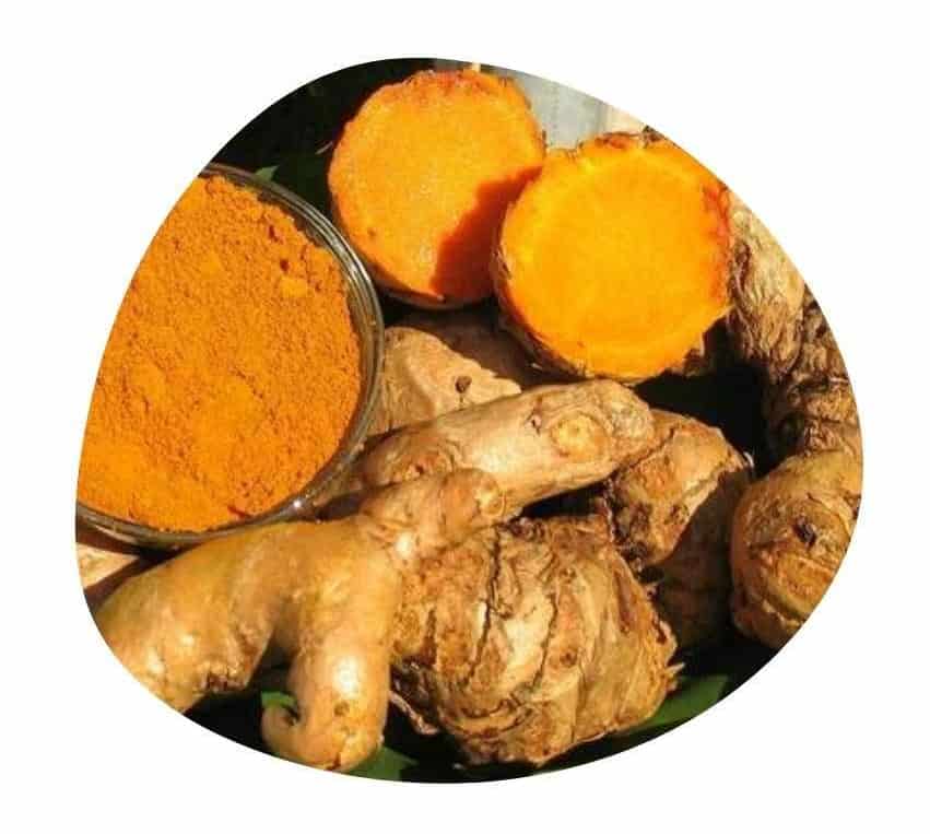 Daily Turmeric Ingredient Curcuma Longa