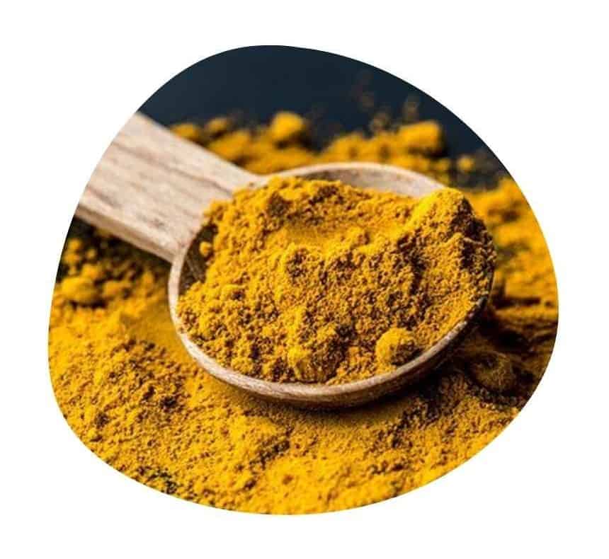 Daily Turmeric Ingredient Turmeric Curcuminoids