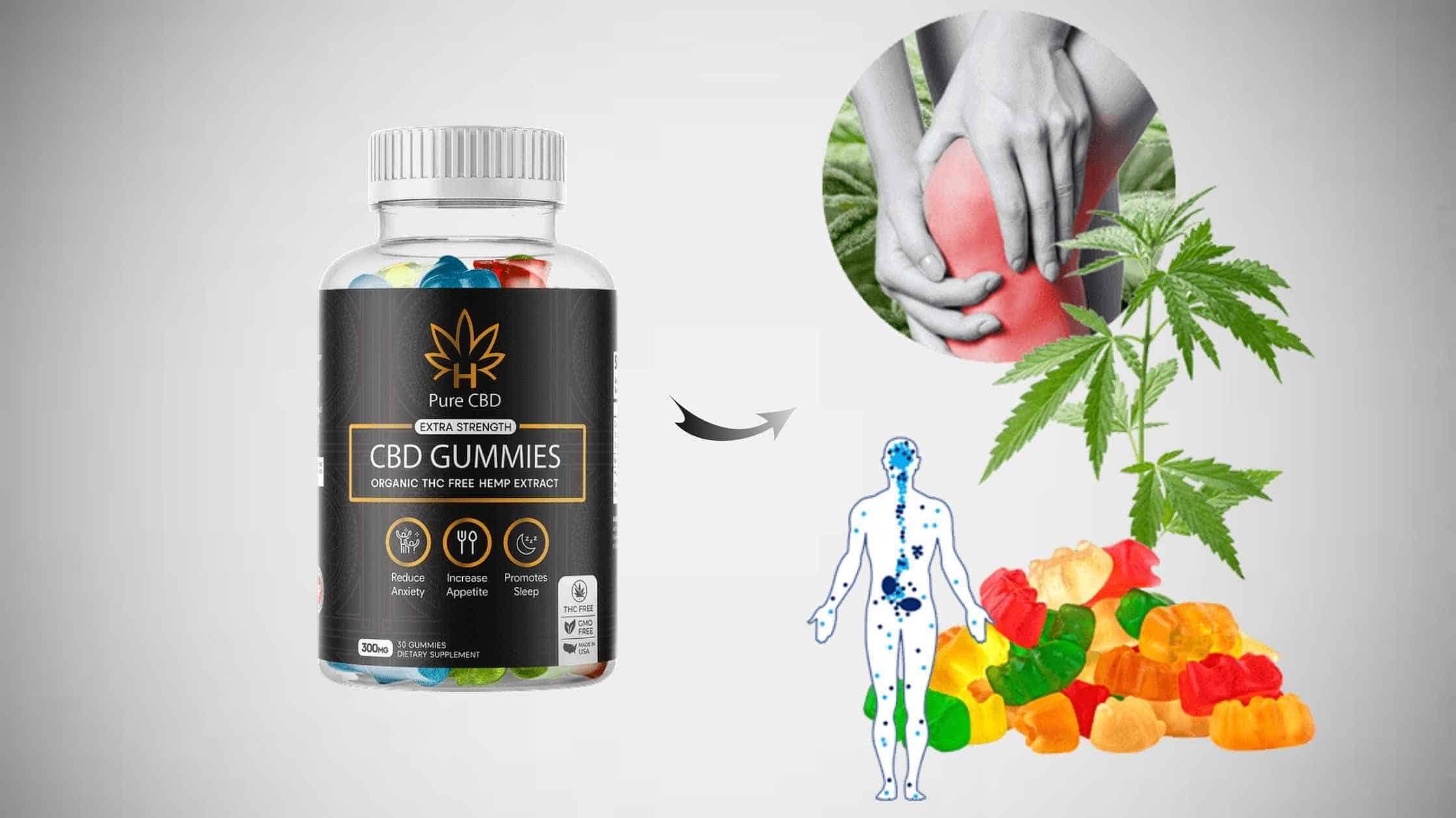 Dementia CBD Gummies Working