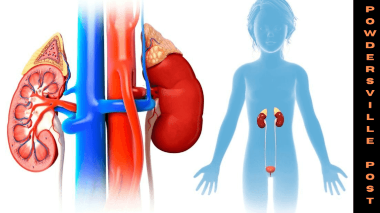 Hereditary Predisposition Key Factor For Kidney Tumor In Children