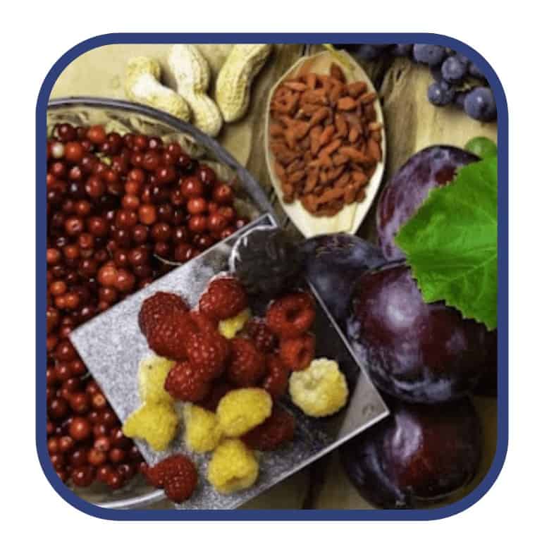 Morning Fat Melter Ingredient Resveratrol Extract