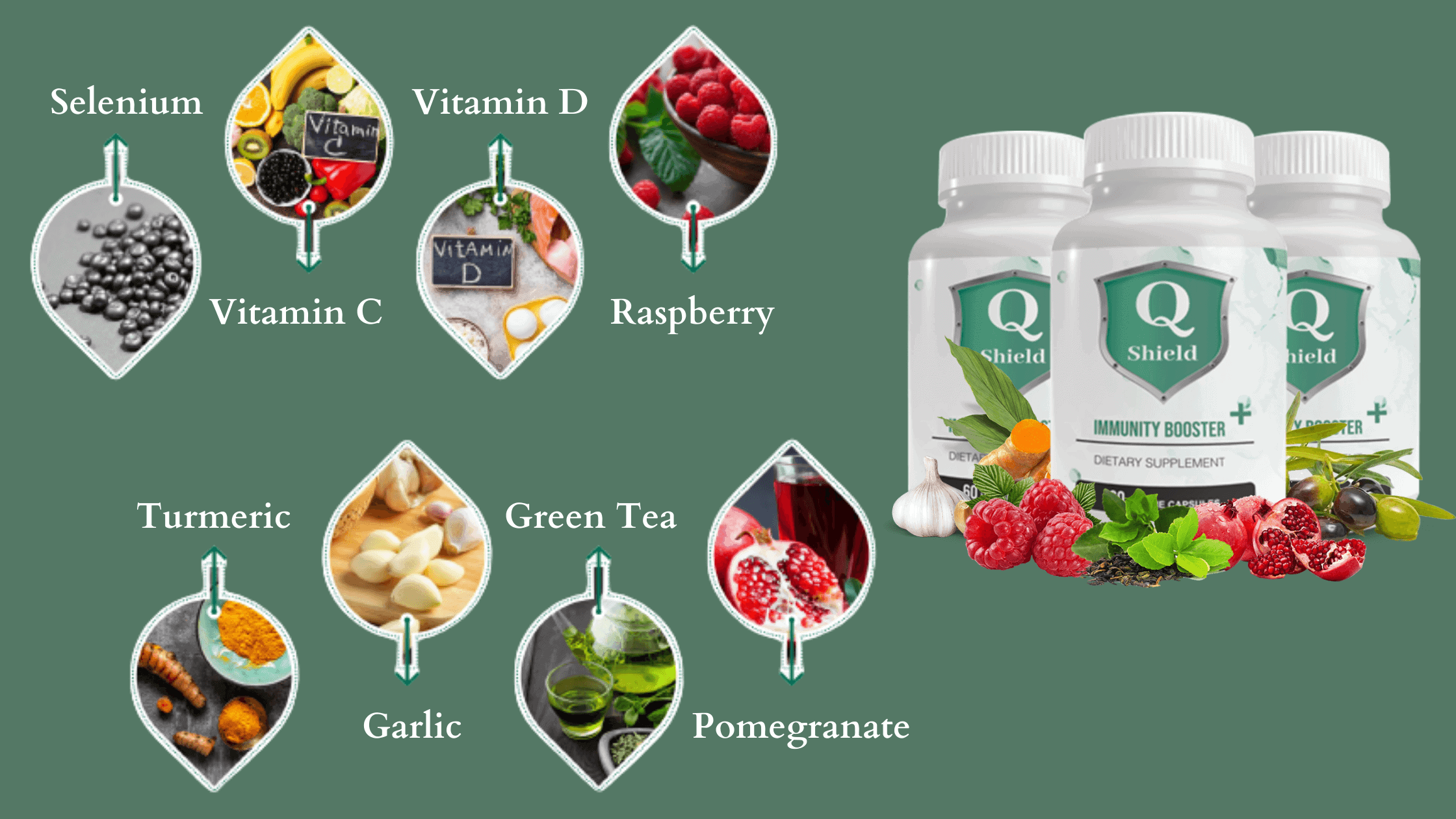 Q Shield Immunity Booster+ Ingredients