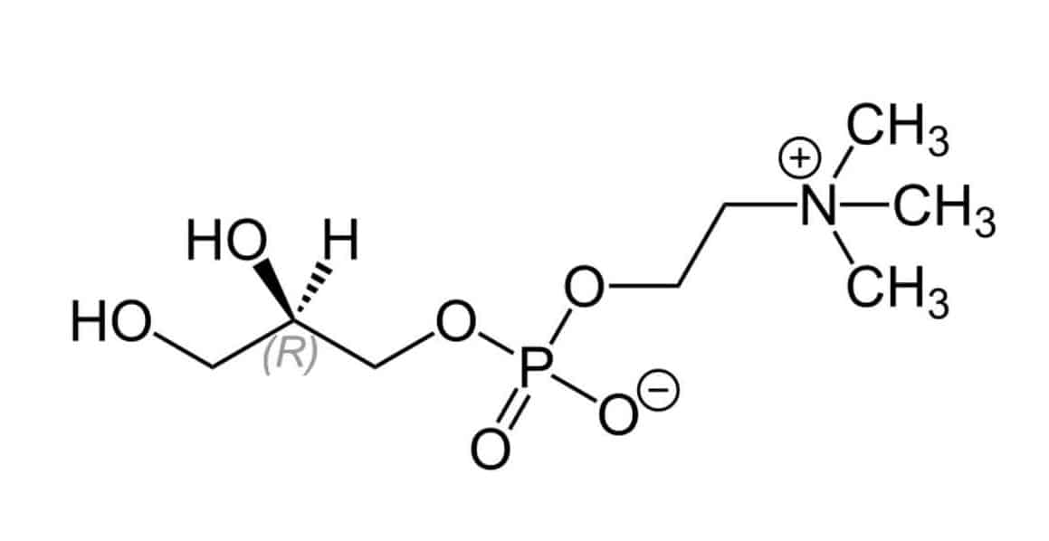 ReVision Ingredient Alpha Glycerylphosphorylcholine