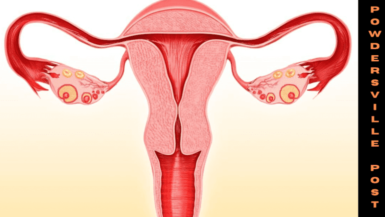 Study Shows A New Approach To Modify The Vaginal Microbiome