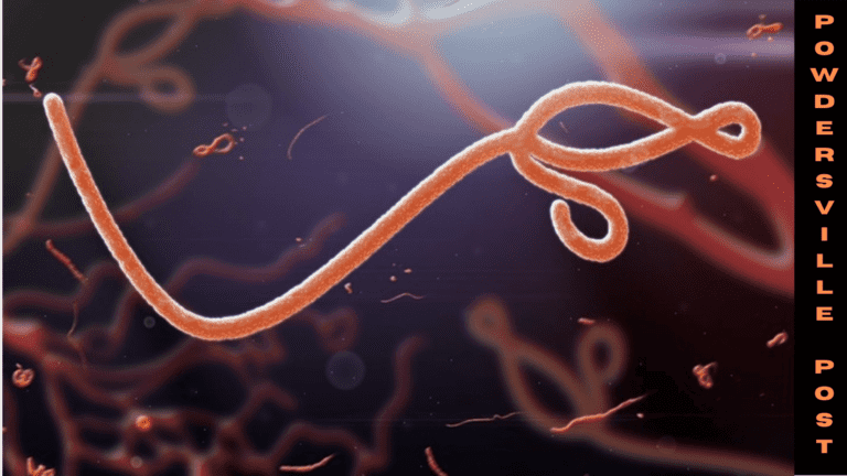 The Ebola Vaccine Offers Long-Term Protection: Study Founds