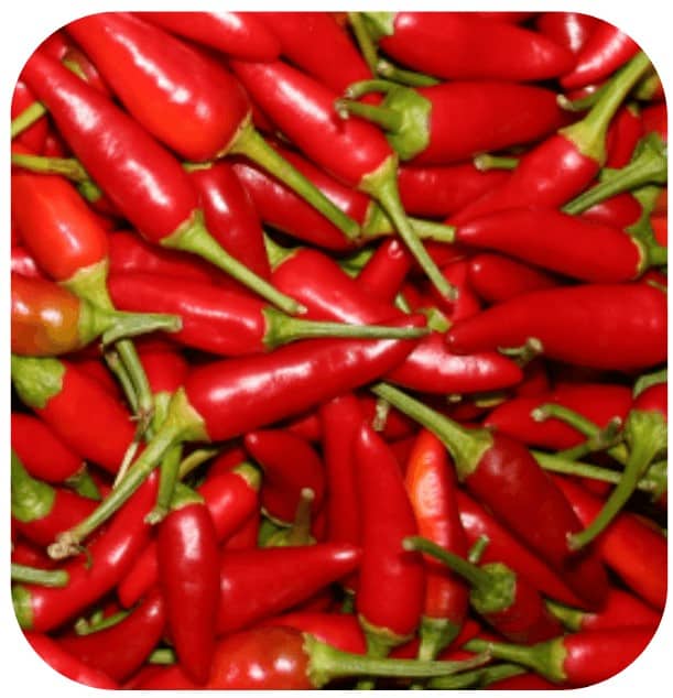 Hidragenix Ingredient Capsicum Annuum