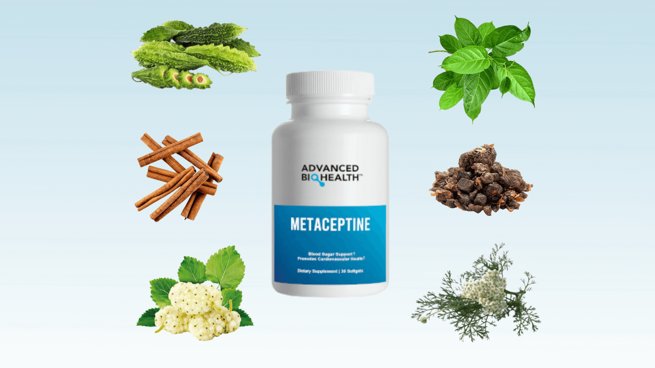 Metaceptine Ingredients