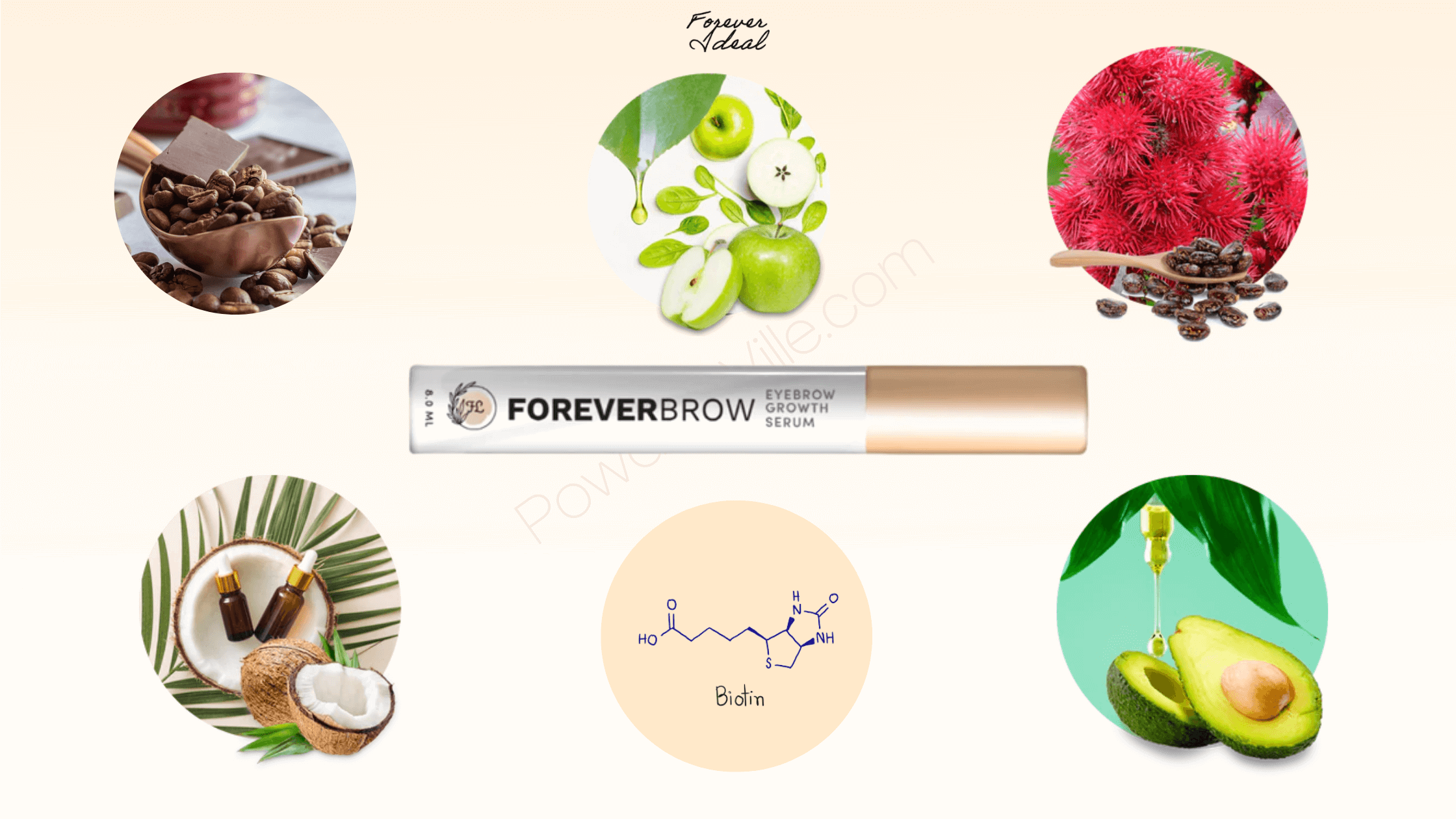 Forever Brow Serum Ingredients