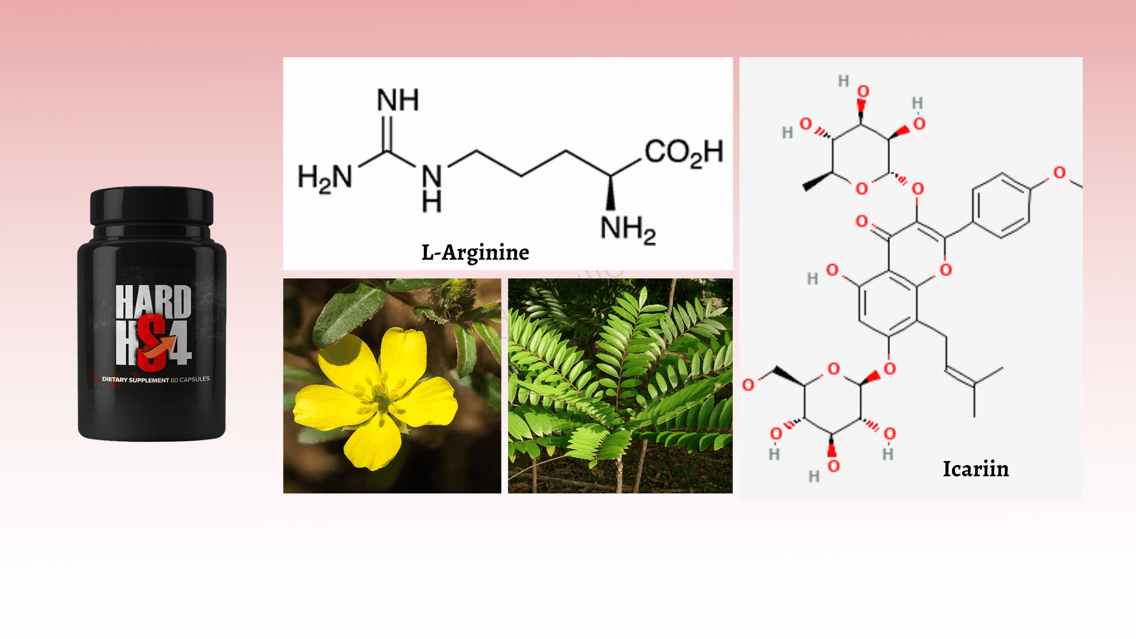 HardHS4 Ingredients