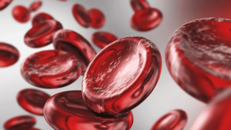 Anemia: What Is the Best Diet To Increase Hemoglobin Levels?