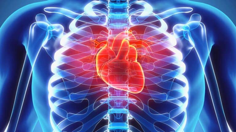 The Rate Of Cardiovascular Death Has Declined Over The Past Two Decades!
