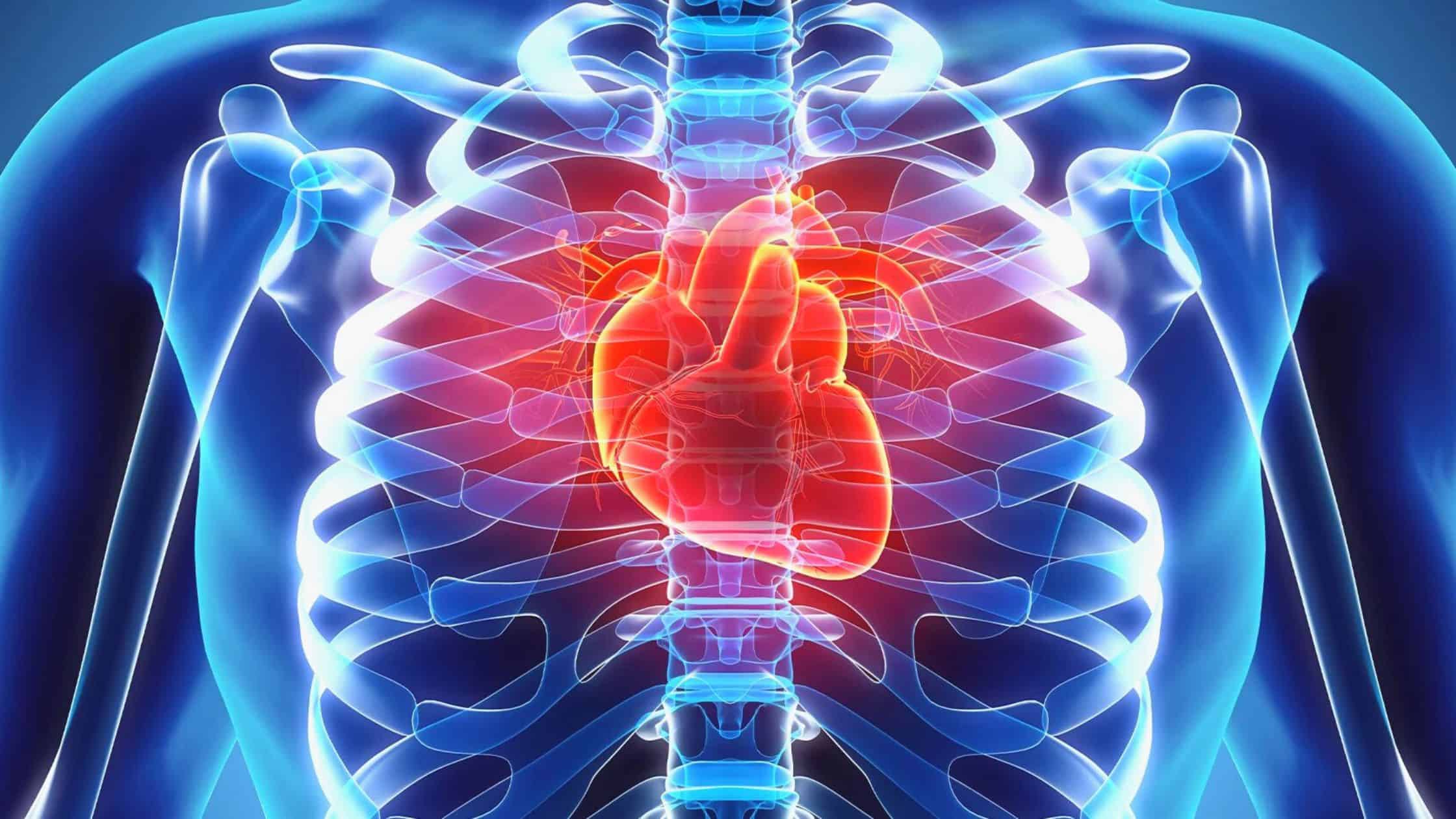 The National Institutes of Health-funded research demonstrates that cardiovascular fatalities have decreased during the previous