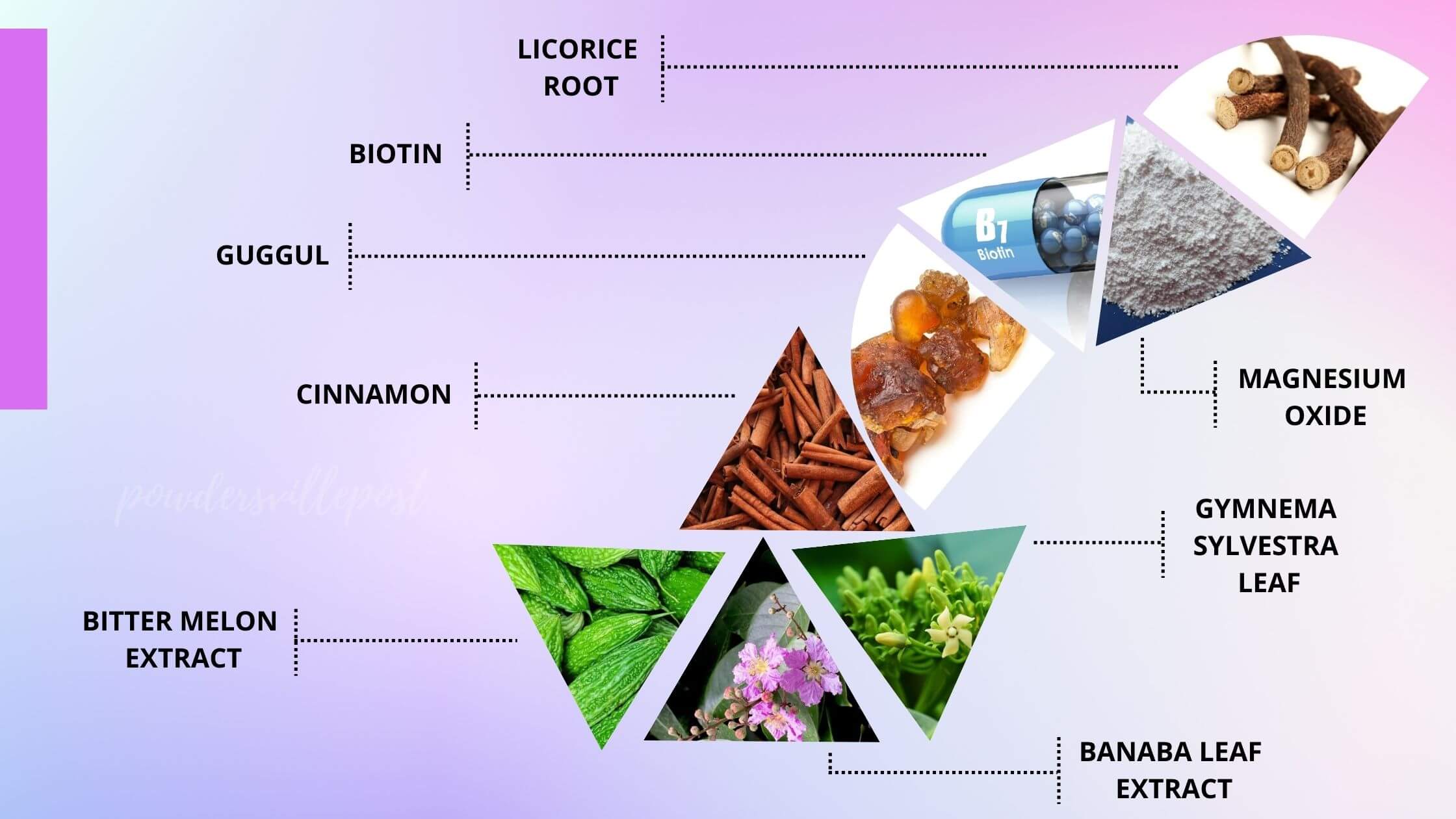 Diverxin SugaRex Ingredients