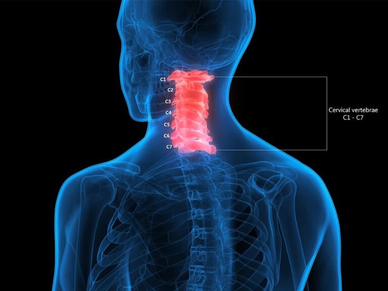 Neural Plastic Changes Improve Functional Recovery After Cervical Spinal Cord Injury!