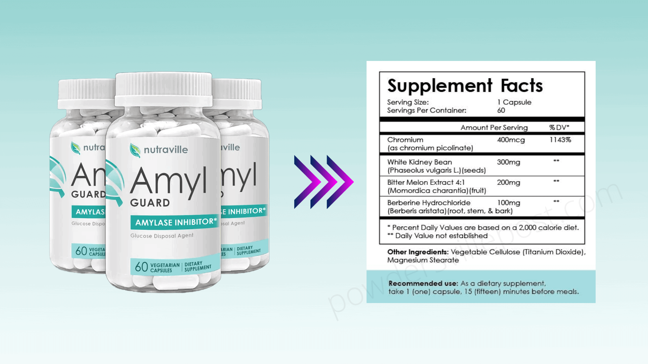 Nutraville Amyl Guard Dosage