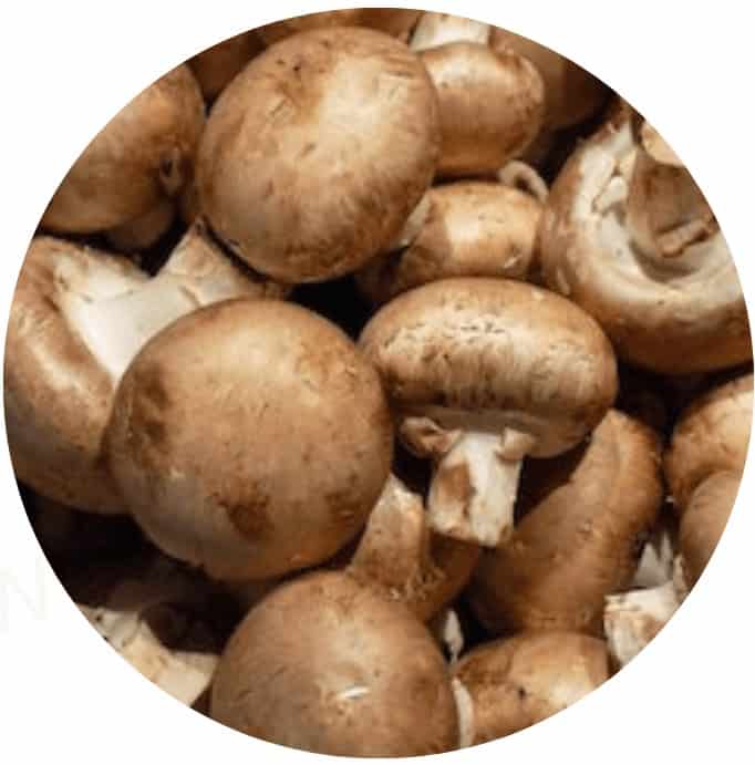 PupLabs Fresh Breathies Ingredient Champignon Mushroom